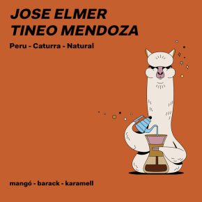  Jose Elmer Tineo Mendoza 250g
